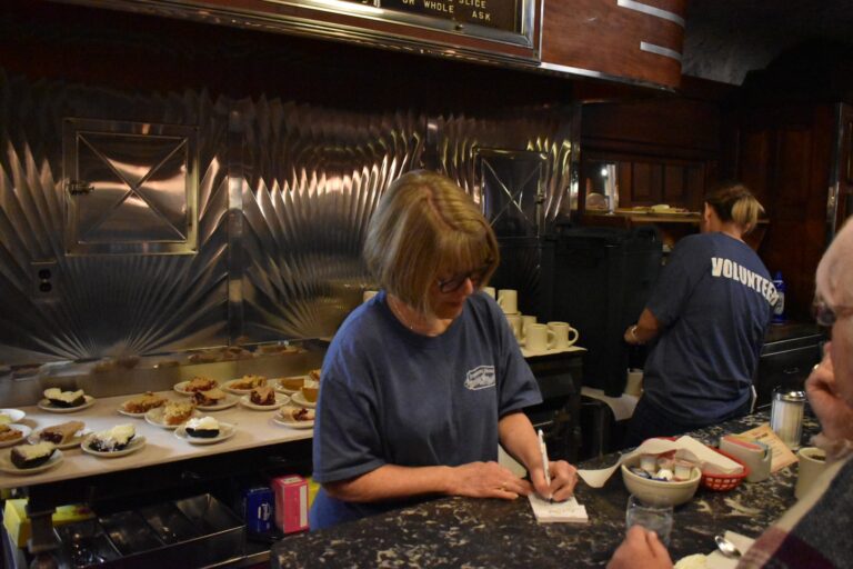 waitress diner day - volunteer page